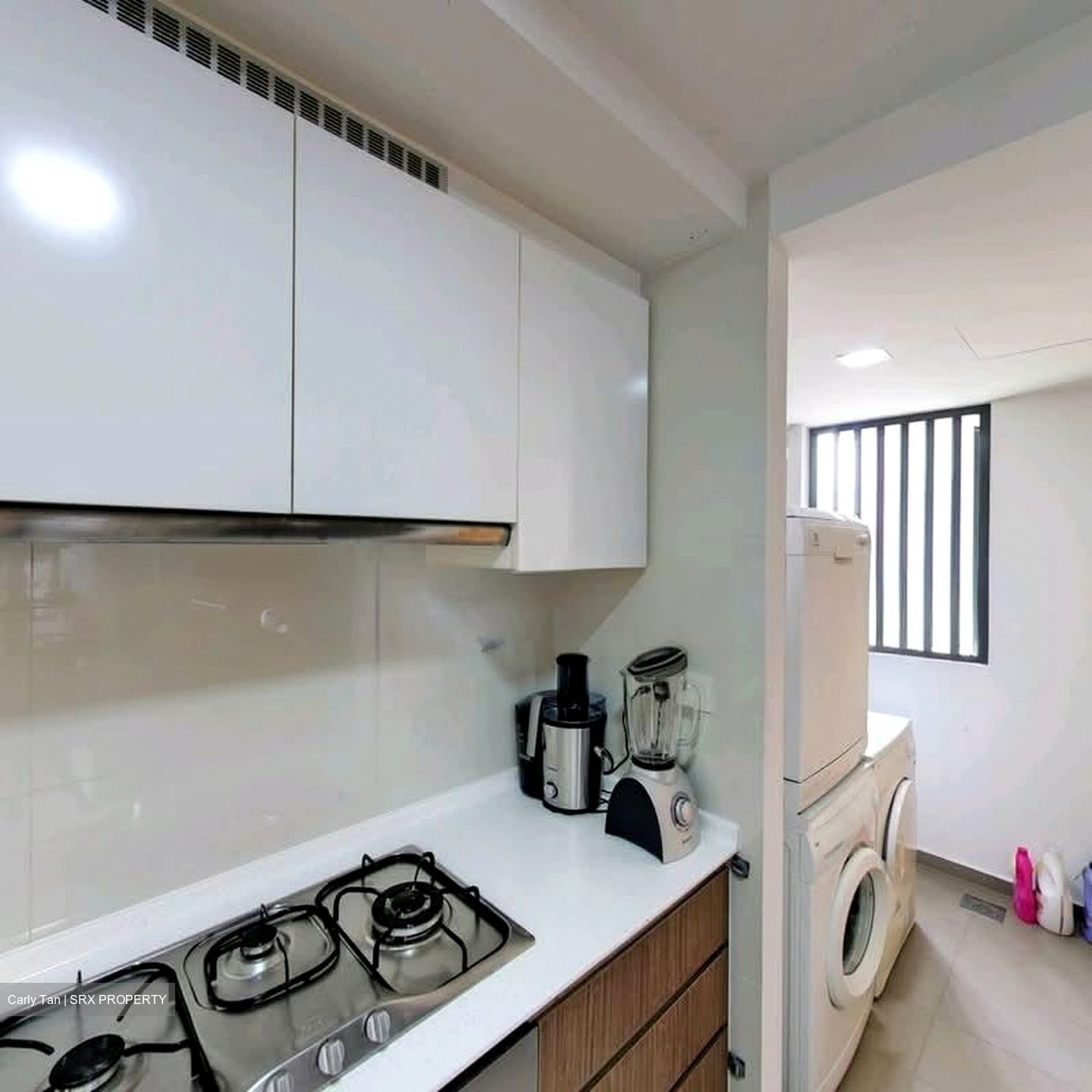 The Lakefront Residences (D22), Condominium #559693171